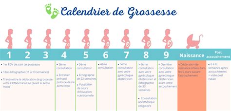 LE SUIVI DE GROSSESSE.
